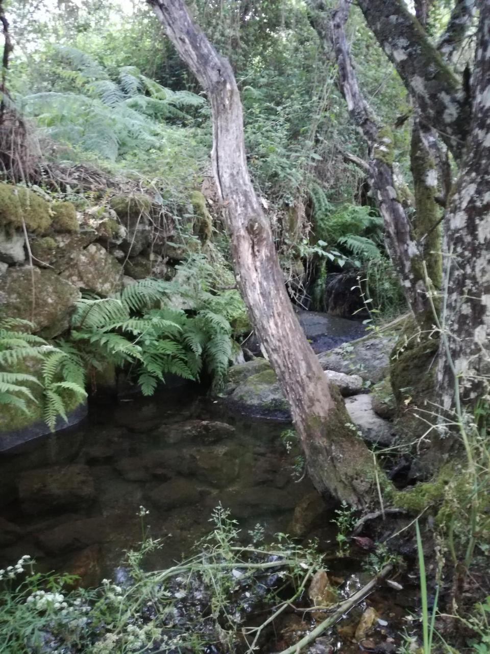 Casa Rural Mirador Del Valle Cepeda Εξωτερικό φωτογραφία